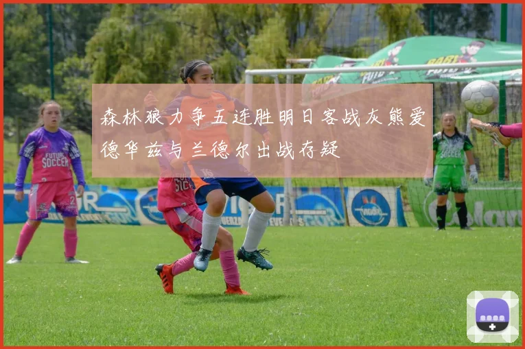 森林狼力争五连胜明日客战灰熊爱德华兹与兰德尔出战存疑