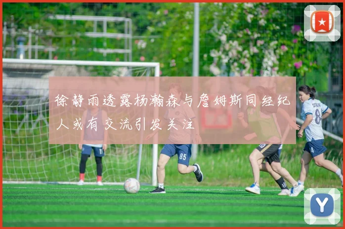 徐静雨透露杨瀚森与詹姆斯同经纪人或有交流引发关注