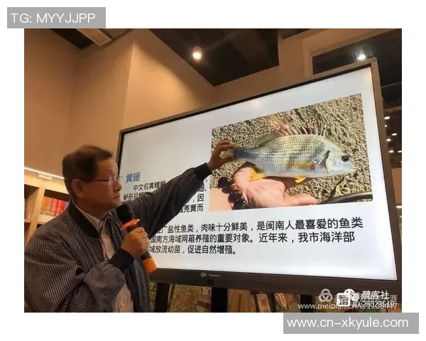 媒体人深度解析五五开拓者的辉煌与失误背后的故事与启示 媒体人深度解析五五开拓者的辉煌与失误背后的故事与启示